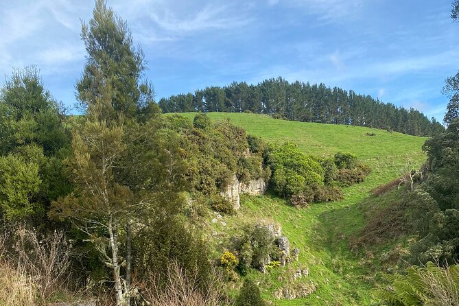 Auckland : Waitomo Spellbound Glow Worm Twin Caves Private Tour - Te Ana o Te Atua, the Cave of the Spirit