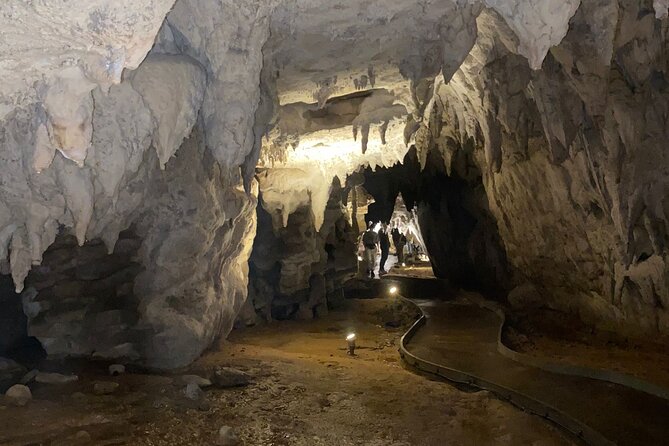 Auckland : Waitomo Spellbound Glow Worm Twin Caves Private Tour - Is $465.43 a fair price?