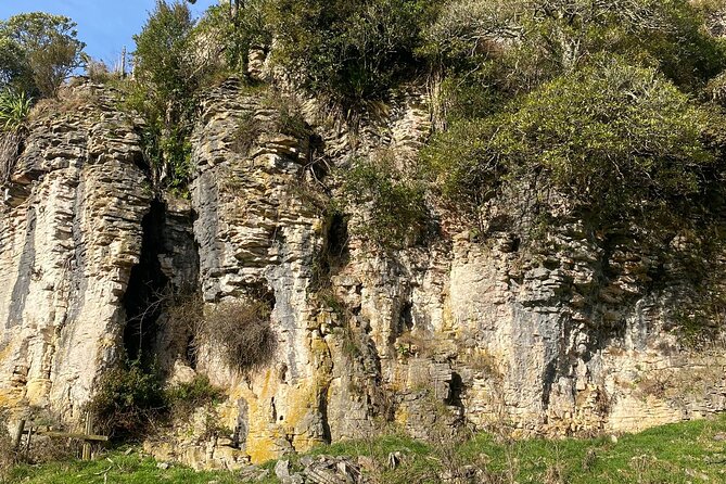 Auckland : Waitomo Spellbound Glow Worm Twin Caves Private Tour - Who should book this Waitomo day trip?