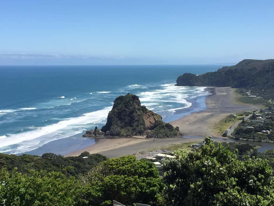 Auckland: West Coast Discovery - Key points to know before you book