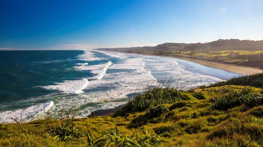 Auckland: West Coast Discovery - Arataki Visitor Centre and the first wide views