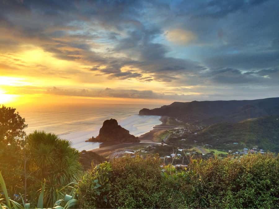 Auckland: West Coast Discovery - The drive through the Waitakere Ranges