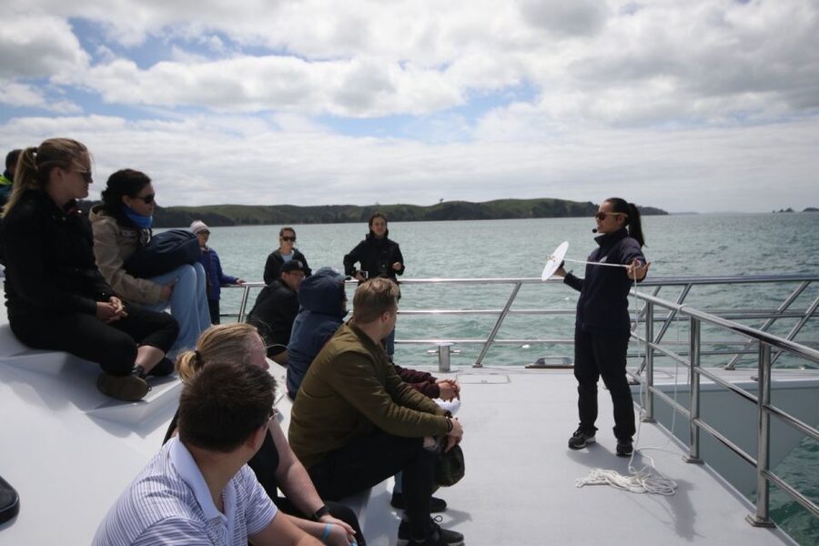 Auckland: Whale and Dolphin Watching Half-Day Eco Cruise - Is the $130 fare good value?