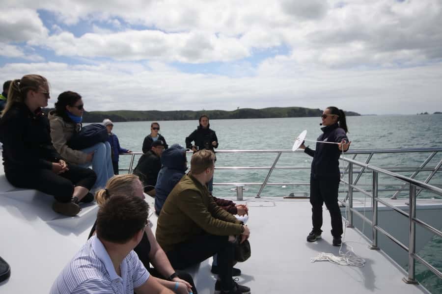 Auckland: Whale and Dolphin Watching Half-Day Eco Cruise - North Head, Devonport, and Rangitoto from the water