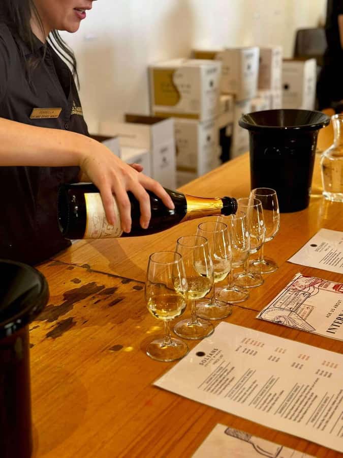 Auckland: Wine region tour with tastings and gourmet lunch - From Auckland CBD to the vineyards
