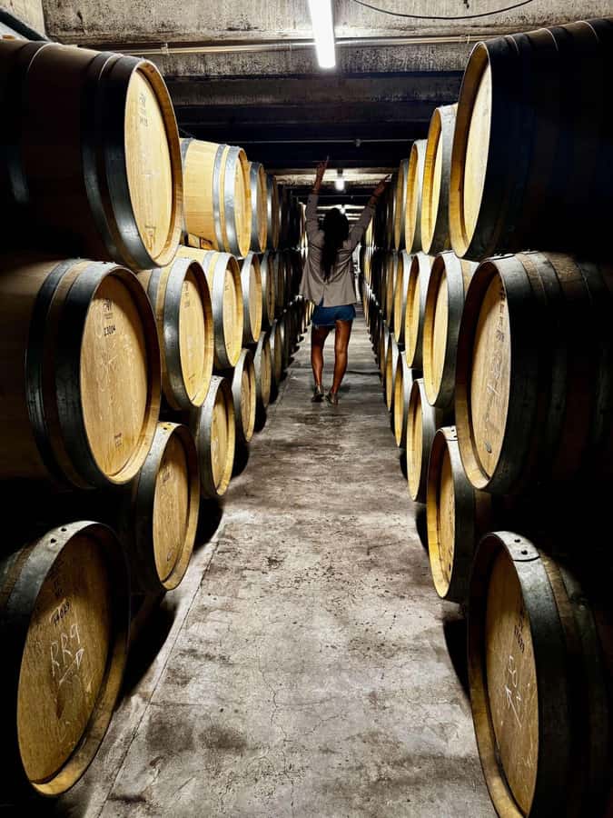 Auckland: Wine region tour with tastings and gourmet lunch - Soljans Estate offers a shorter cellar-door visit