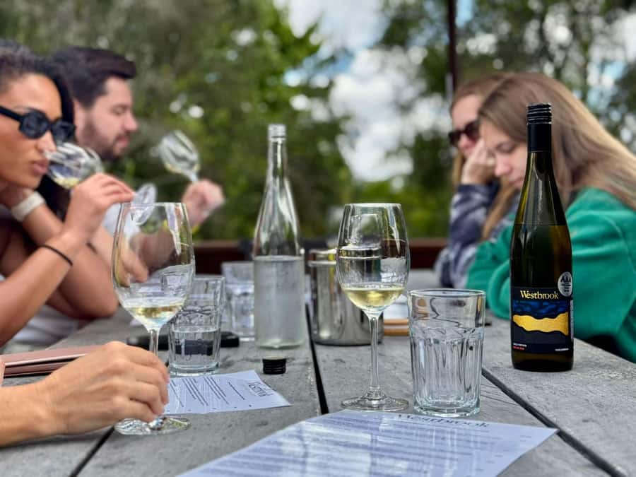 Auckland: Wine region tour with tastings and gourmet lunch - Who will enjoy this west Auckland wine tour