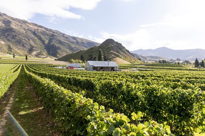 Award Winning Premium Wine Tour Queenstown Tasting at 4 Wineries - Gibbston Valley Winery and the underground cellar