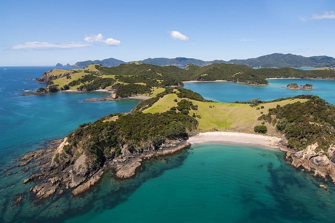 Bay of Islands 2-Day Small Group Tour & Cruise from Auckland - Why this is a useful Northland shortcut