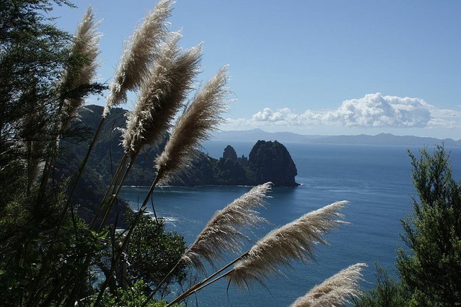 Bay of Islands 2-Day Small Group Tour & Cruise from Auckland - Lunch beside Hokianga Harbour in Opononi