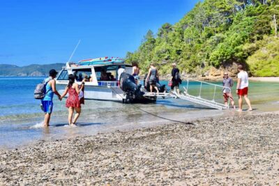 4.5 Hour Day Cruise and Island Getaway Tour