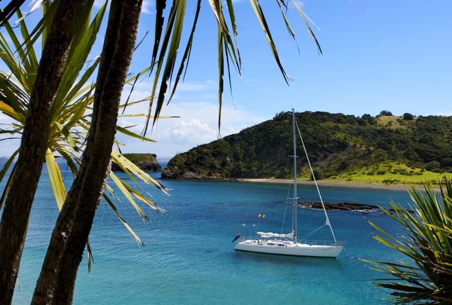 Bay of Islands: Awesome Day Sailing Tour with Island Stop - Key points to know before booking
