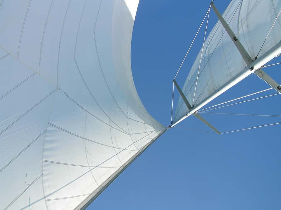 Bay of Islands: Awesome Day Sailing Tour with Island Stop - Ancient lava flows, caves, and open water