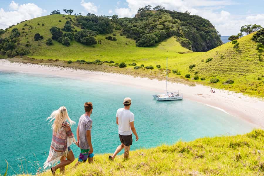 Bay of Islands: Catamaran Sail, Wildlife Island & Lunch - Key points at a glance