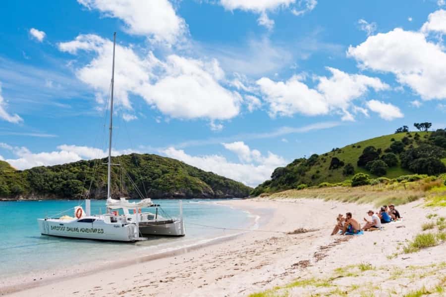 Bay of Islands: Catamaran Sail, Wildlife Island & Lunch - FAQ