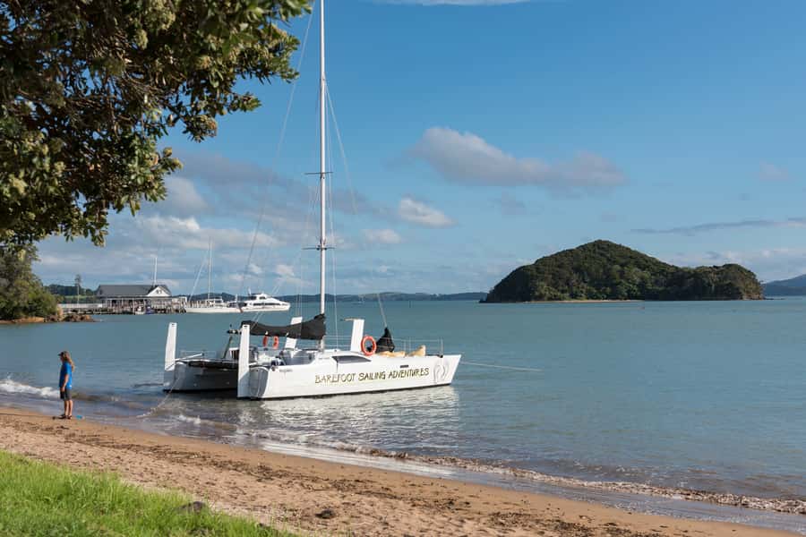 Bay of Islands: Catamaran Sail, Wildlife Island & Lunch - Sailing away from Paihia on a working catamaran