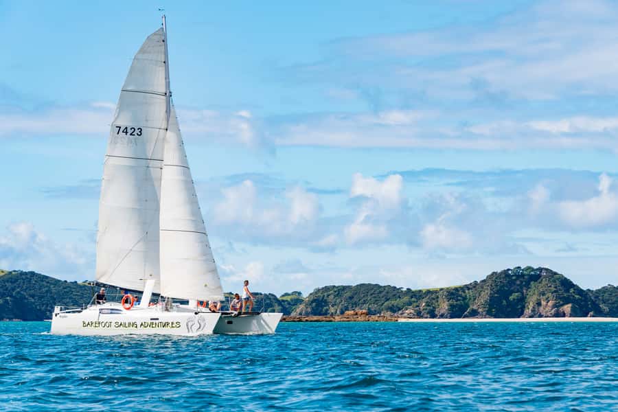 Bay of Islands: Catamaran Sail, Wildlife Island & Lunch - The sanctuary island stop and beach lunch