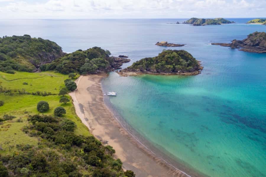 Bay of Islands: Catamaran Sail, Wildlife Island & Lunch - The relaxed return sail to Paihia