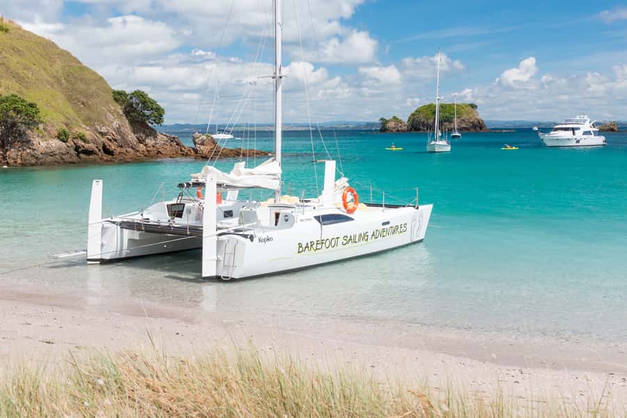 Bay of Islands: Catamaran Sail, Wildlife Island & Lunch - What the $134 price gets you