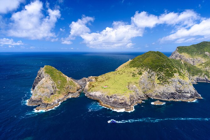 Bay of Islands Explorer Experience Small Group Tour From Auckland - What the small group and guide add