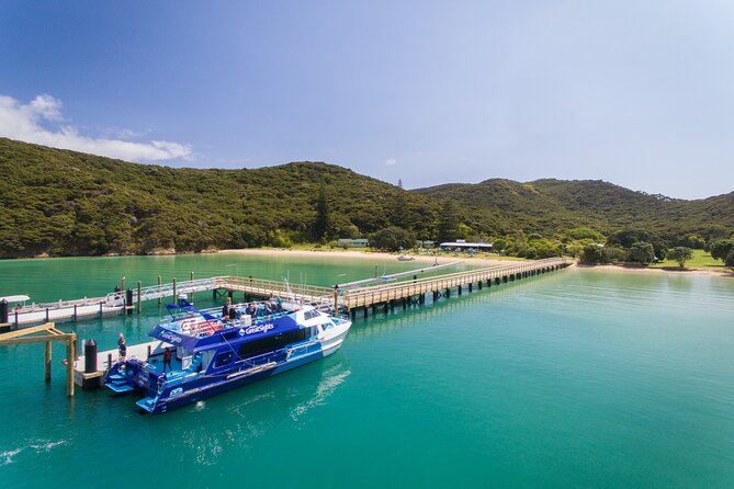 Bay of Islands Explorer Experience Small Group Tour From Auckland - Coffee at La nonna Italian Bakery