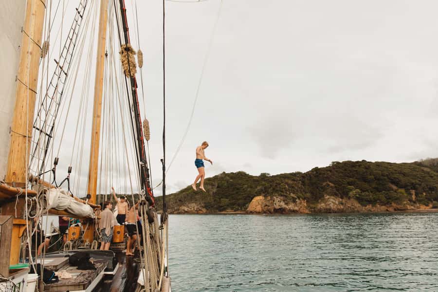 Bay of Islands: Full-Day Tall Ship Sailing Excursion - Taking the helm and climbing the rigging
