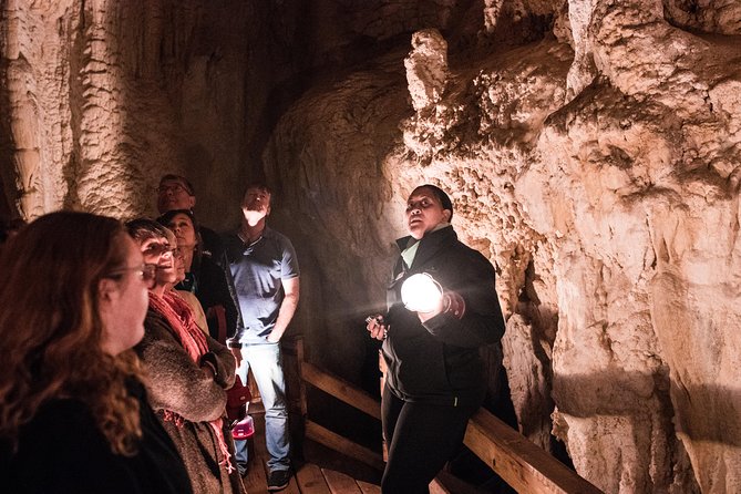 Bay of Islands Glow Worm Caves & Scenic Shore Excursion - Haruru Falls and the Waitangi River