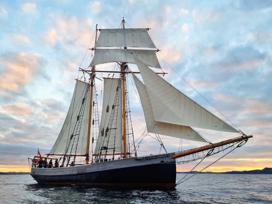 Bay of Islands: Late Afternoon Sailing Cruise - Russell before the sail, Paihia after the ferry
