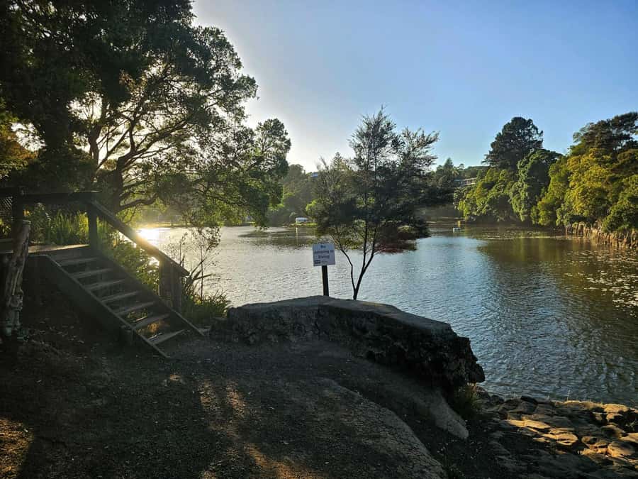 Bay of Islands - Mini Tour (75-90 mins) - What $44 buys you