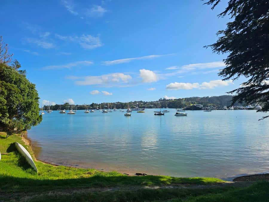 Bay of Islands - Mini Tour (75-90 mins) - Practical tips for a smoother visit