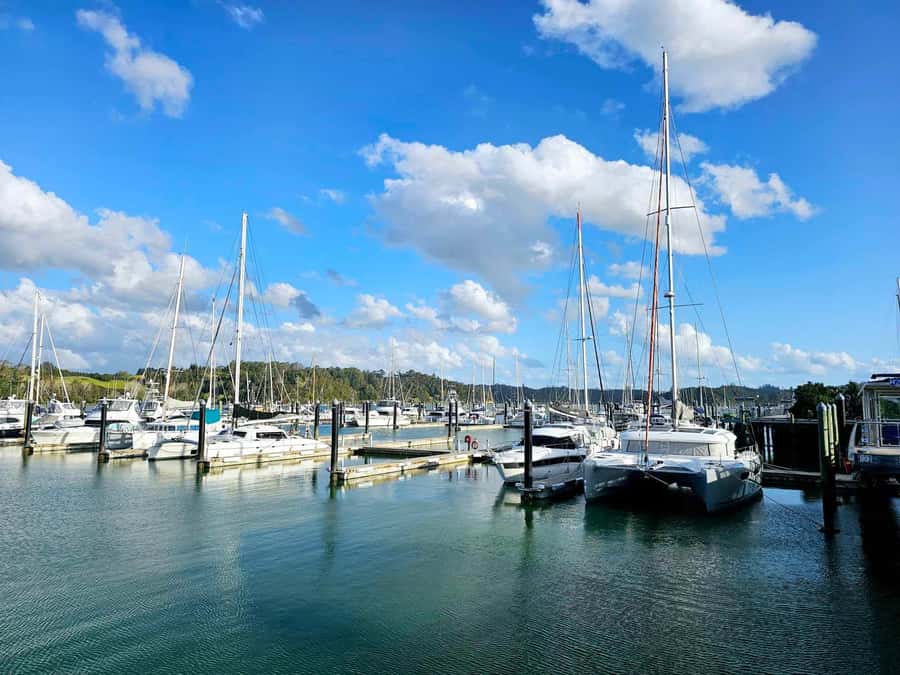Bay of Islands - Mini Tour (75-90 mins) - Meeting the van at 100 Marsden Road