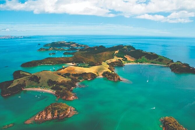 Bay of Islands Private Tour - Paihia and the four-and-a-half-hour cruise