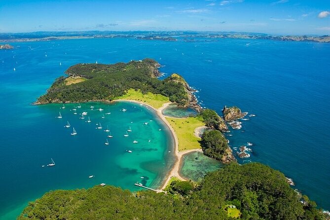 Bay of Islands Private Tour - Why the guide can make or break the day