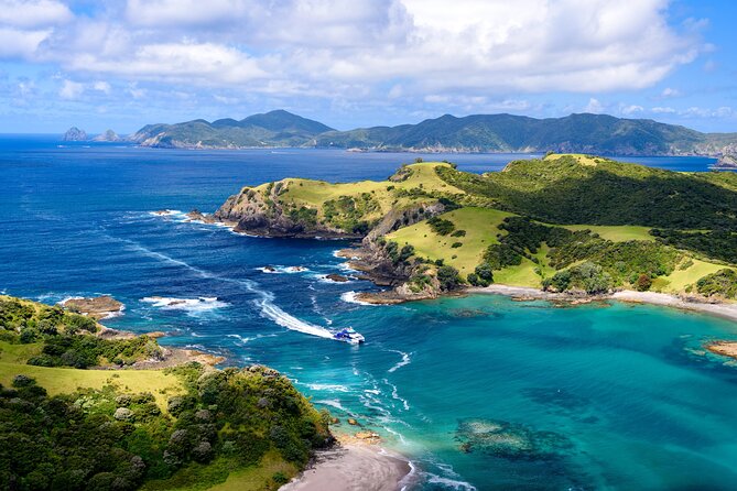 Bay of Islands Private Tour - What the $589.54 price really buys