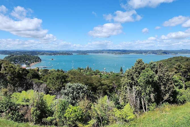 Bay of Islands Scenic Tour - Waitangi is explained from the road
