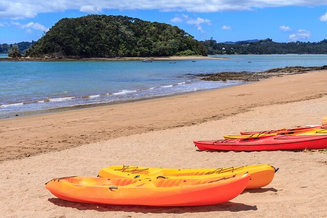 Bay of Islands Scenic Tour - Flagstaff Hill is the visual high point