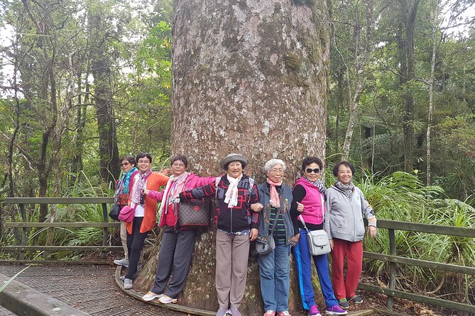Bay of Islands Shore Excursion: Puketi Rainforest Guided Walk - How difficult is the trail?