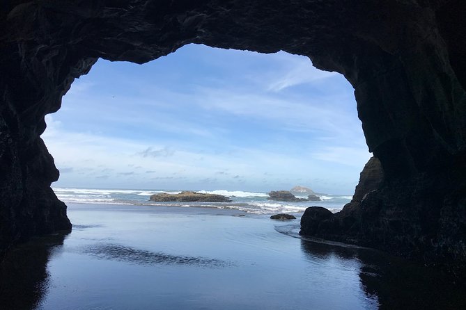 Beautiful Nature Tours Auckland - Private Tour - Piha, Mercer Bay, and the value of a flexible route
