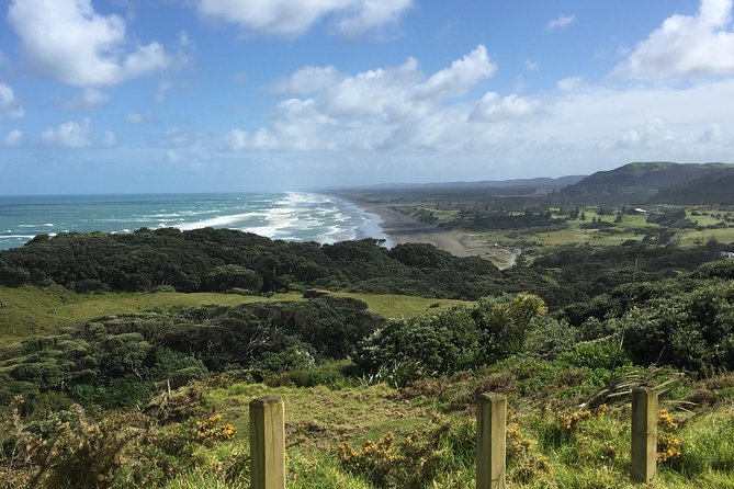 Beautiful Nature Tours Auckland - Private Tour - What $304.08 per person buys you