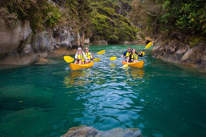 Best Abel Tasman Day trip - Why this six-hour cruise works so well