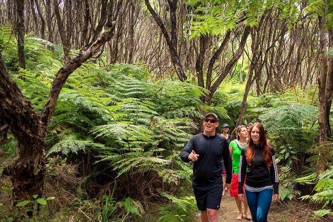 Best Abel Tasman Day trip - The Pitt Head loop and Abel Tasman’s forest