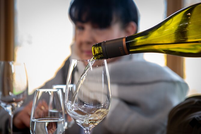 Beyond the Vines - Full-Day Marlborough Wine Tasting Tour - The drive from Picton or Blenheim