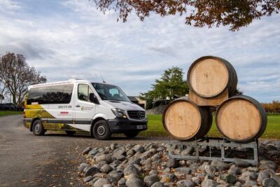 Beyond the Vines – Full-Day Marlborough Wine Tasting Tour