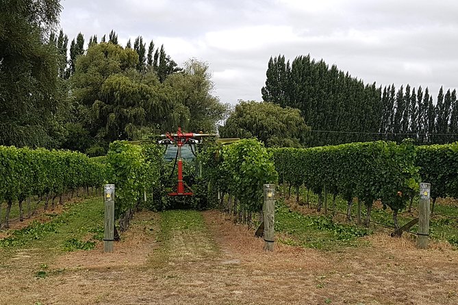Beyond the Vines - Full-Day Marlborough Wine Tasting Tour - What the day does not promise