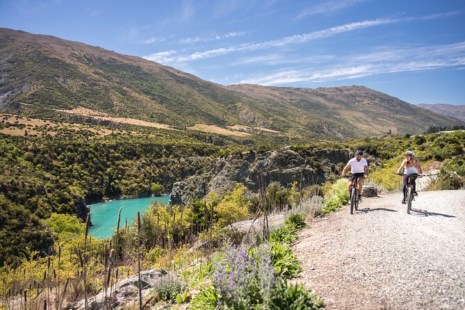 Bike The Wineries (1/2 Day) - Quick Pedal to Pinot - Gibbston Valley Winery and the wine cave option