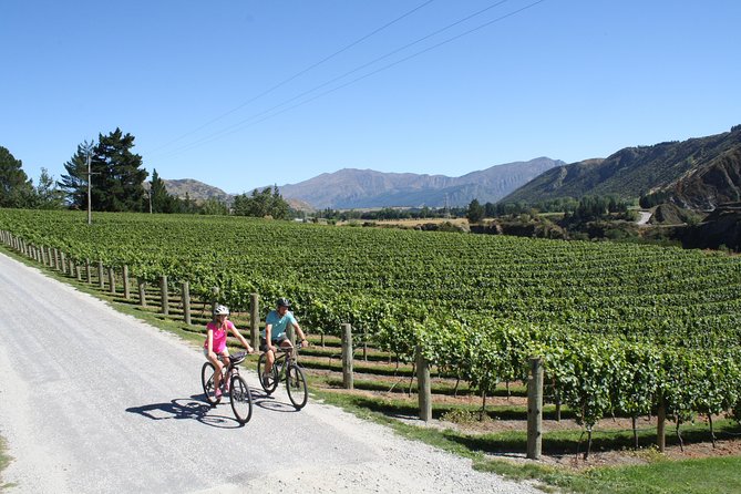 Bike The Wineries (3/4 Day) - Ride Through Queenstown Vineyards - The Church Cellar Door and Cafe
