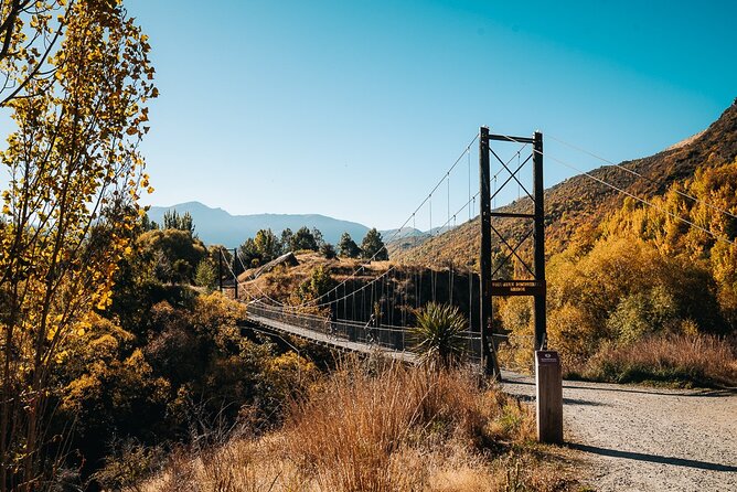Bike & Wine Tour: Arrowtown to Valley of the Vines - Why the e-bike upgrade earns its keep