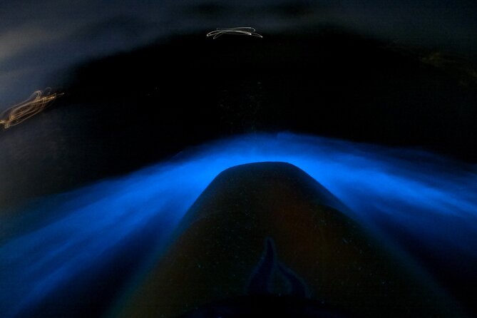 Bioluminescence Kayak Tour - Est. 1994 - Auckland’s night sea, lit from below