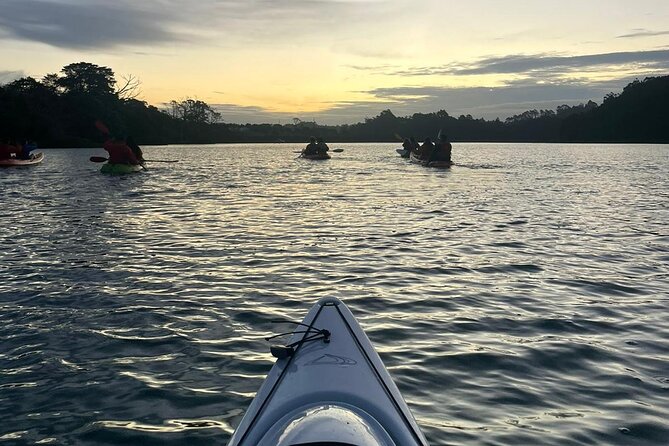 Bioluminescence Kayak Tour - Est. 1994 - How strong is the bioluminescence?