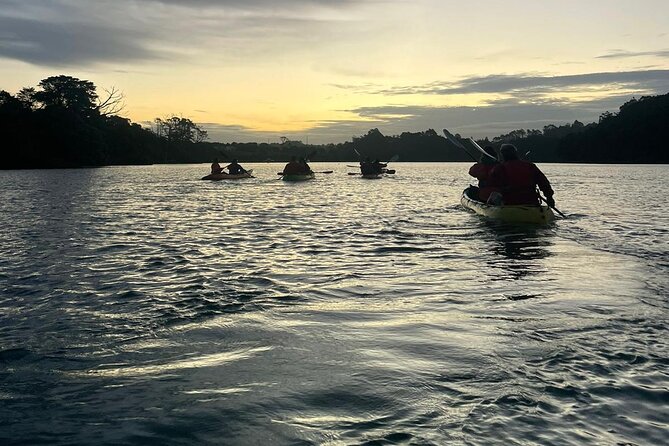 Bioluminescence Kayak Tour - Est. 1994 - What the $73.85 price gets you